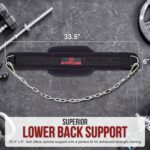 Dip Belt with Chain – Weight Lifting Belt for Dips, Pull-Ups, and Strength Training