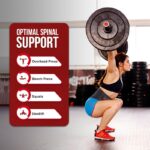 GYMCORE Weight Lifting Back Support Belt - Velcro Locking