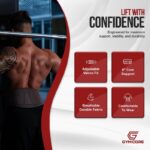 GYMCORE Weight Lifting Back Support Belt - Velcro Locking